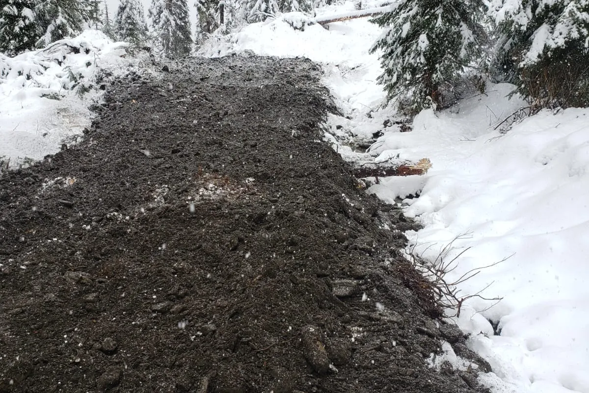 Newly built access road through snowy forest